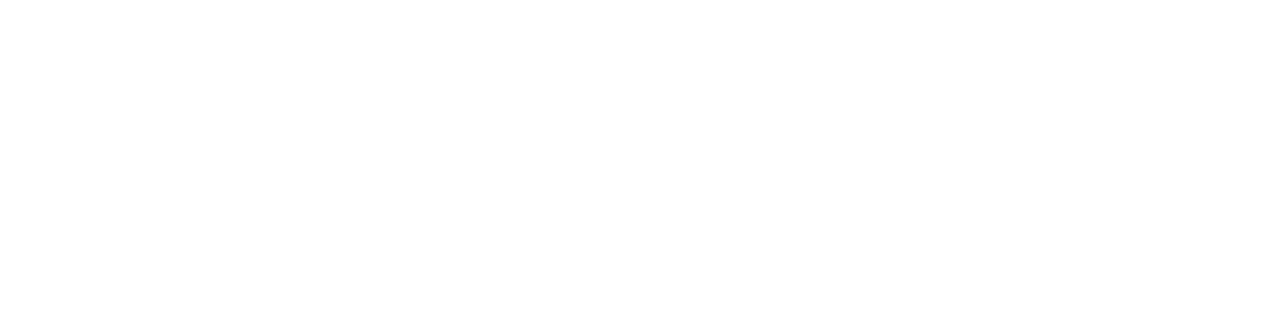 Idex logo white